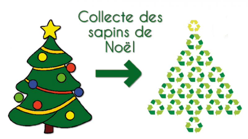 sapin recyclés.png