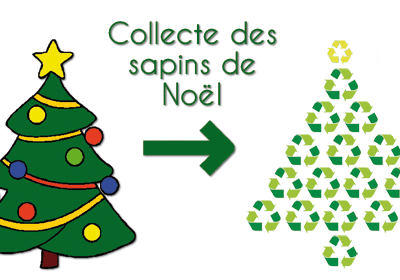 sapin recyclés.png